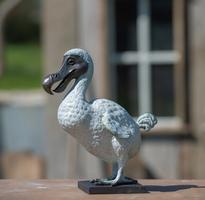 James Coplestone Dodo Miniature